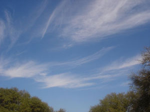 cirrus