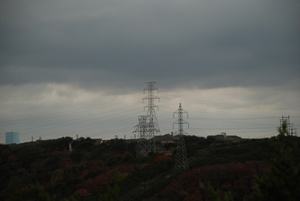 stratus